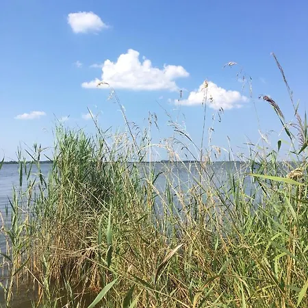 Haus Rose * Ribnitz-Damgarten