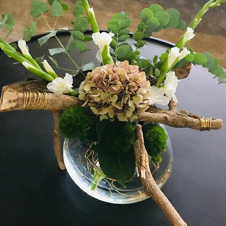 Apartment Haus Rose Ribnitz-Damgarten