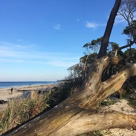 Haus Rose * Ribnitz-Damgarten