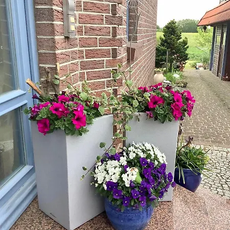 Apartment Haus Rose *