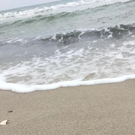 Apartment Haus Rose *