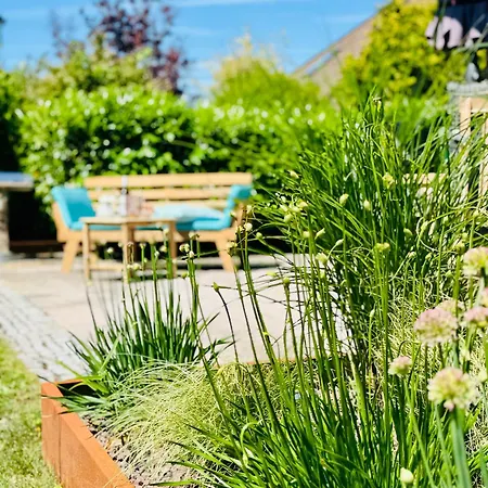 Apartment Haus Rose Ribnitz-Damgarten