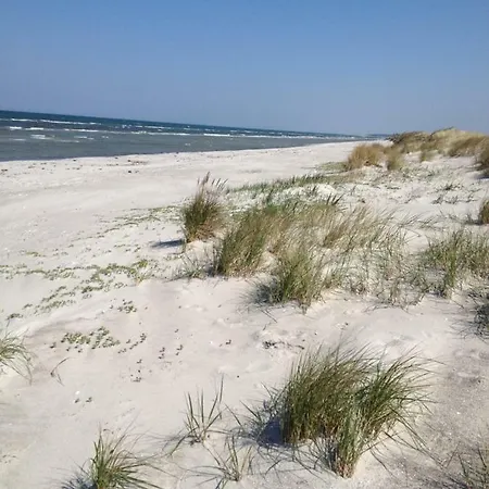 Haus Rose * Ribnitz-Damgarten